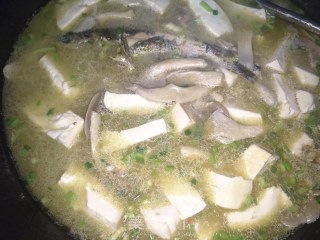 Yellow Bone Fish Tofu Soup recipe