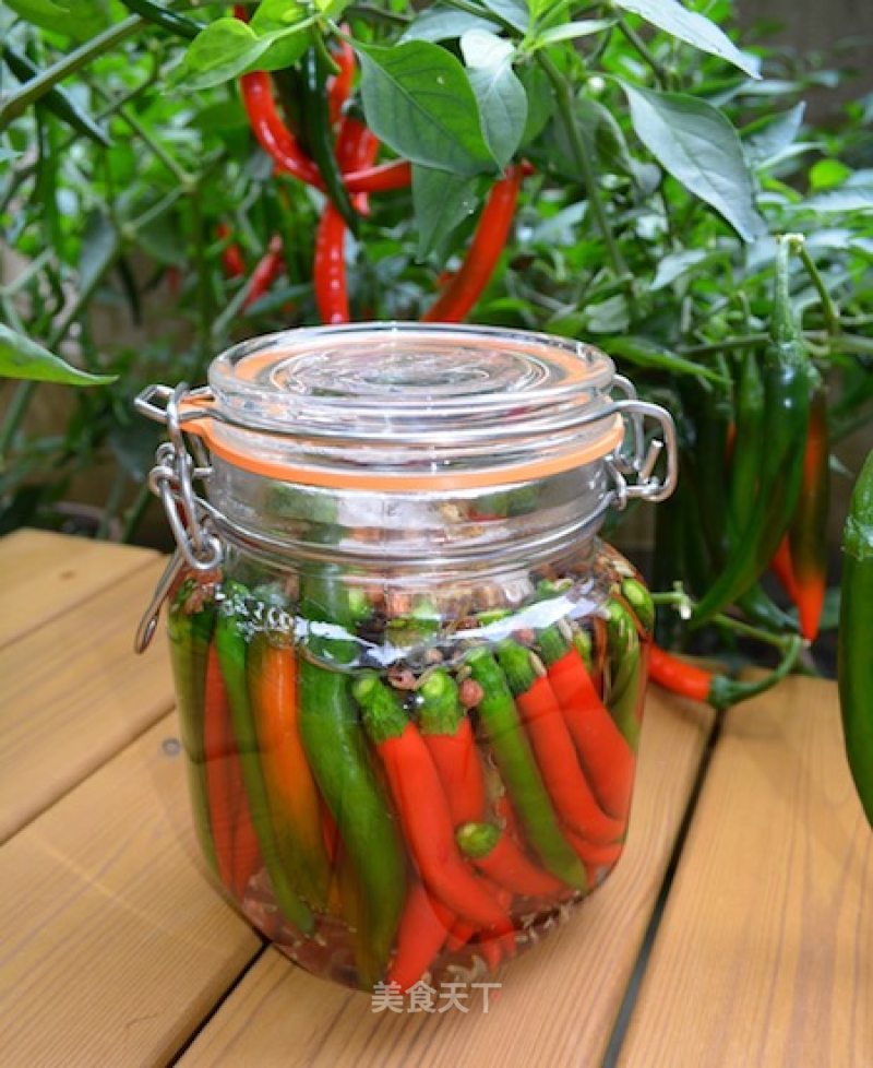Cocolc's Private Vegetable Recipe-pickled Pepper