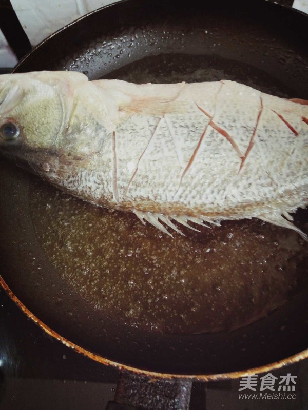 Sea Bass in Tomato Sauce recipe