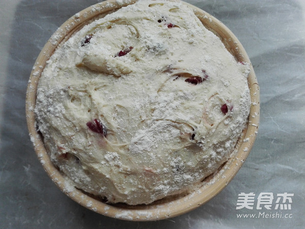 Cranberry Soft European Bread recipe