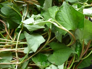 Houttuynia Cordata Tea for Heat-clearing and Detoxifying recipe