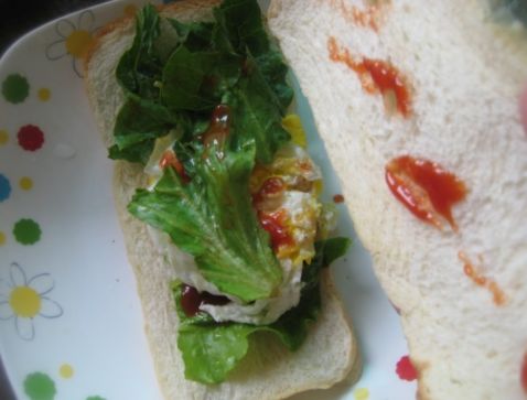 Homemade Burger recipe