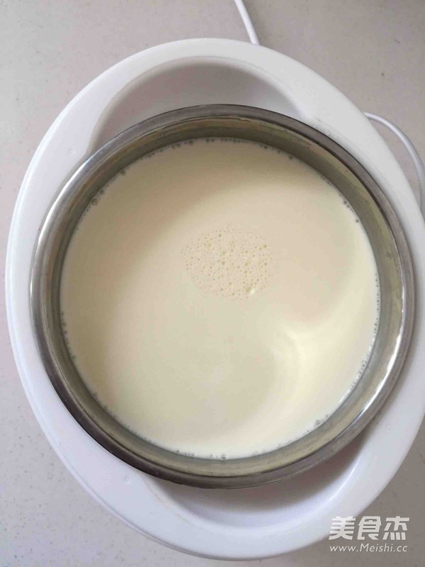 Yogurt Made from Raw Fresh Milk recipe