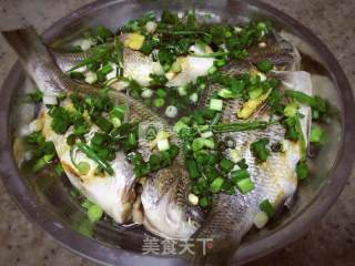 Delicious Steamed Standing Fish recipe