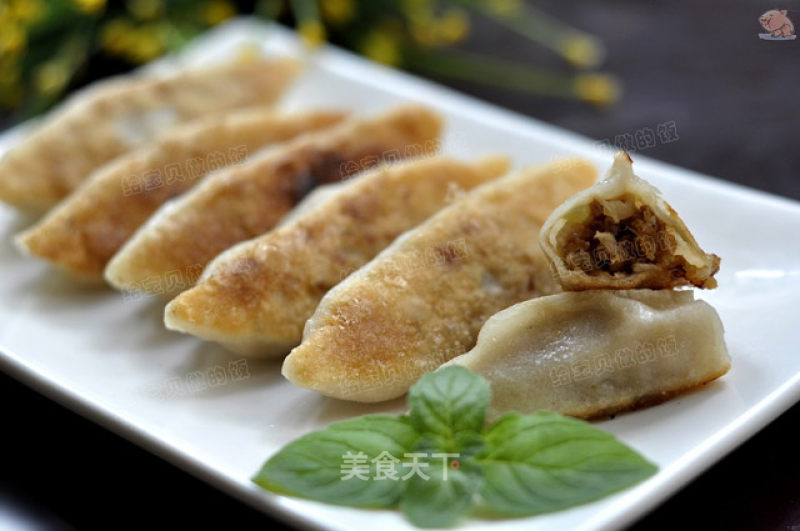 Gourd and Fresh Pork Pot Stickers recipe