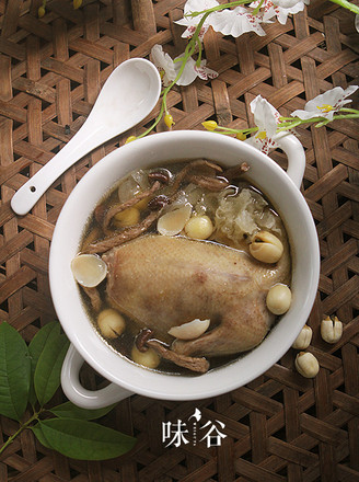 White Lotus Tea Tree Mushroom Pigeon Soup recipe