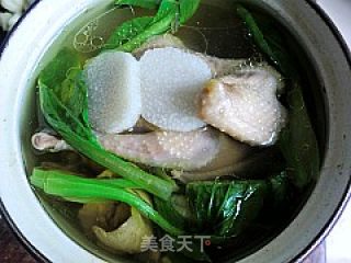 【anhui Cuisine】---huangshan Stewed Pigeon recipe