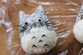 Totoro Brothers of Curry Rice Ball recipe