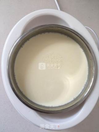 Yogurt Made from Raw Milk recipe