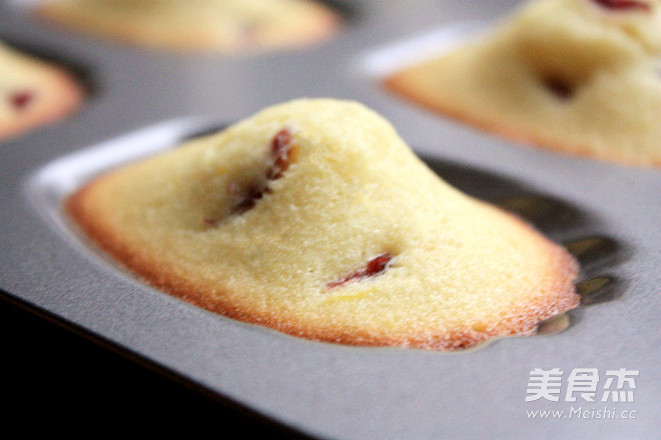 Cranberry Madeleine recipe