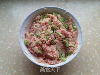 Fried Dumplings with Minced Meat and Mashed Potatoes recipe