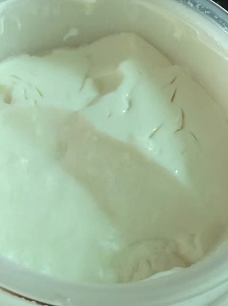 Homemade Yogurt