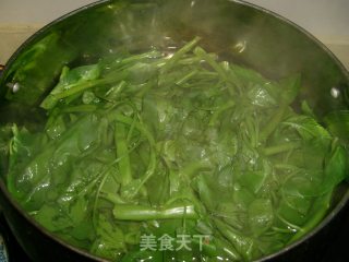 [sichuan Cuisine]-green and Red Millet Spicy Convolvulus recipe