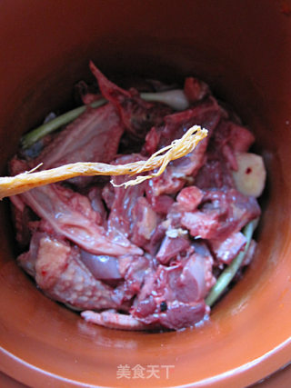[winter Healthy Vegetables] Stewed Old Pigeon with Korean Ginseng recipe