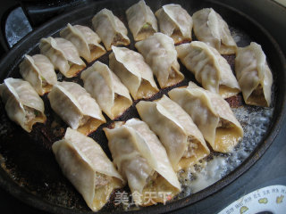 Pork and Scallion Pot Stickers recipe