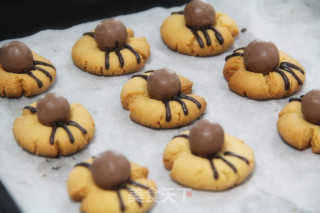 Halloween Tricky Gift---spider Cookies recipe