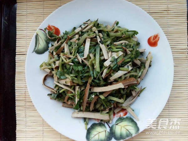 Cucumber Bean Curd with Cilantro recipe