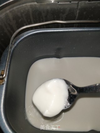 Homemade Yogurt in Bread Maker recipe