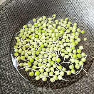 Asparagus, Pea and Shrimp Salad recipe