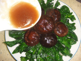 Crisp, Tender and Refreshing to Make You Fall in Love with Him------oyster Sauce Shiitake Mushroom Choy Sum 319 recipe