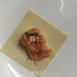 Chicken Wontons recipe