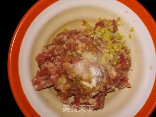 Fresh Meat Ravioli recipe