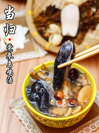Guangdong Old Fire Soup-danggui Codonopsis Black Chicken Soup