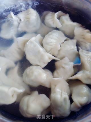 [hebei] Leek Stuffed Dumplings recipe