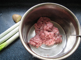 Pork and Scallion Pot Stickers recipe