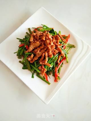 #春食野菜香# Stir-fried Shredded Pork with Wild Celery recipe