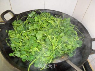 Stir Fried Grass Head recipe