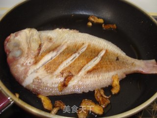 Red Crucian Carp with Ginger Oil recipe