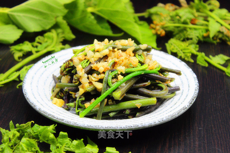 #春食野菜香# Stir-fried Bracken with Garlic recipe