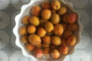 Original Dried Apricot recipe