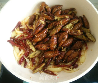 [fragrant and Crispy Mouth] Dry Stir-fried Silkworm Pupa recipe