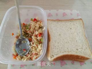 Creative Sandwich-a Gorgeous Transformation of Leftover Rice recipe