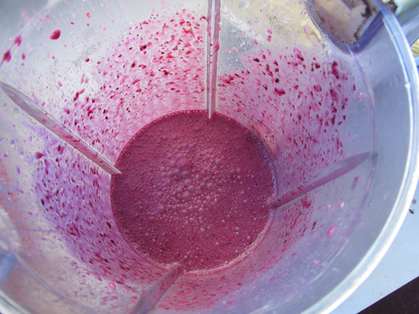 [purple Qi Donglai] Mulberry Milkshake recipe