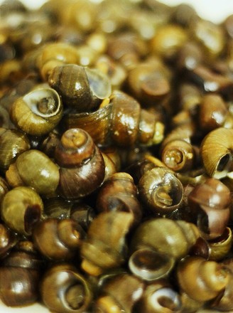 Stir-fried Escargot recipe