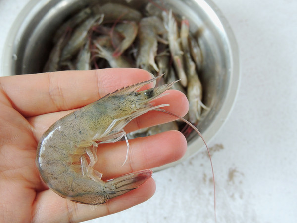 Boiled Shrimp recipe