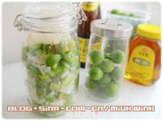 【plum Dew】a Healthy Drink for Green Plums recipe