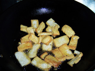 Warm Away The Cold---spicy Scallion Braised Tofu recipe