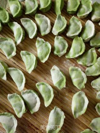 Jade and White Jade Two-color Dumplings~two-color Lamb and Celery Dumplings recipe