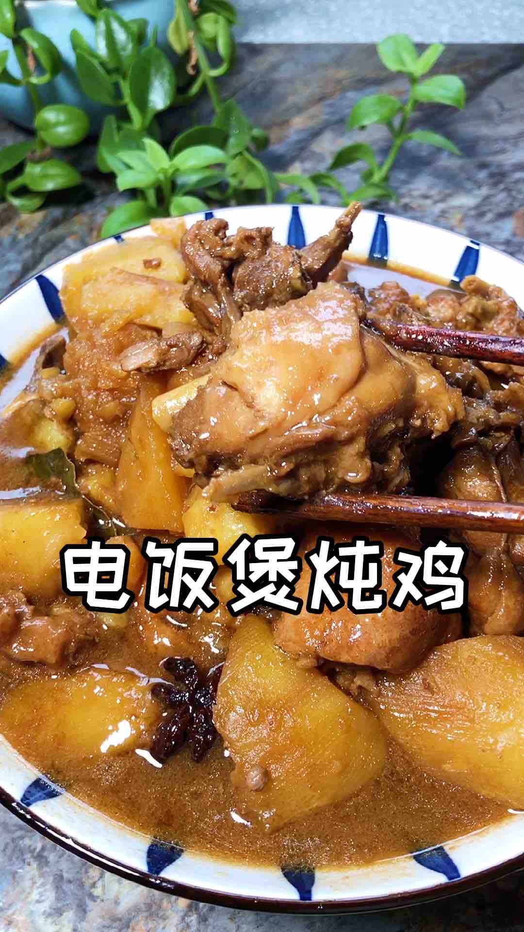Rice Cooker Chicken Stew recipe
