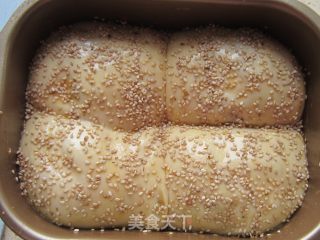 Breadmaker Version of Red Bean Paste Toast recipe
