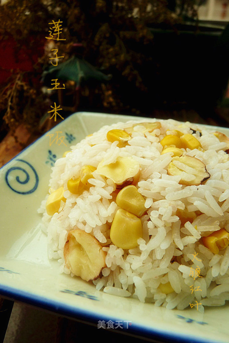 Lotus Seed Corn Rice recipe