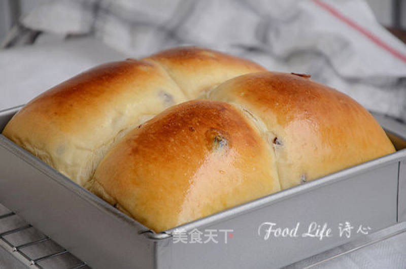 [cranberry Bread] --- As Long As The Dough is Good, The Mold is Not A Problem recipe