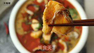 Special Snails and Spot Fish Pot丨large Mouth Snails recipe