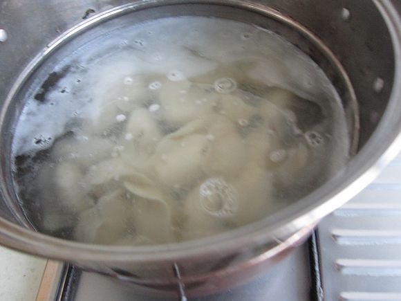 Sauerkraut Pork Dumplings recipe