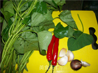 Home Cooking @@长寿菜~~ Stir-fried Sweet Potato Leaves recipe