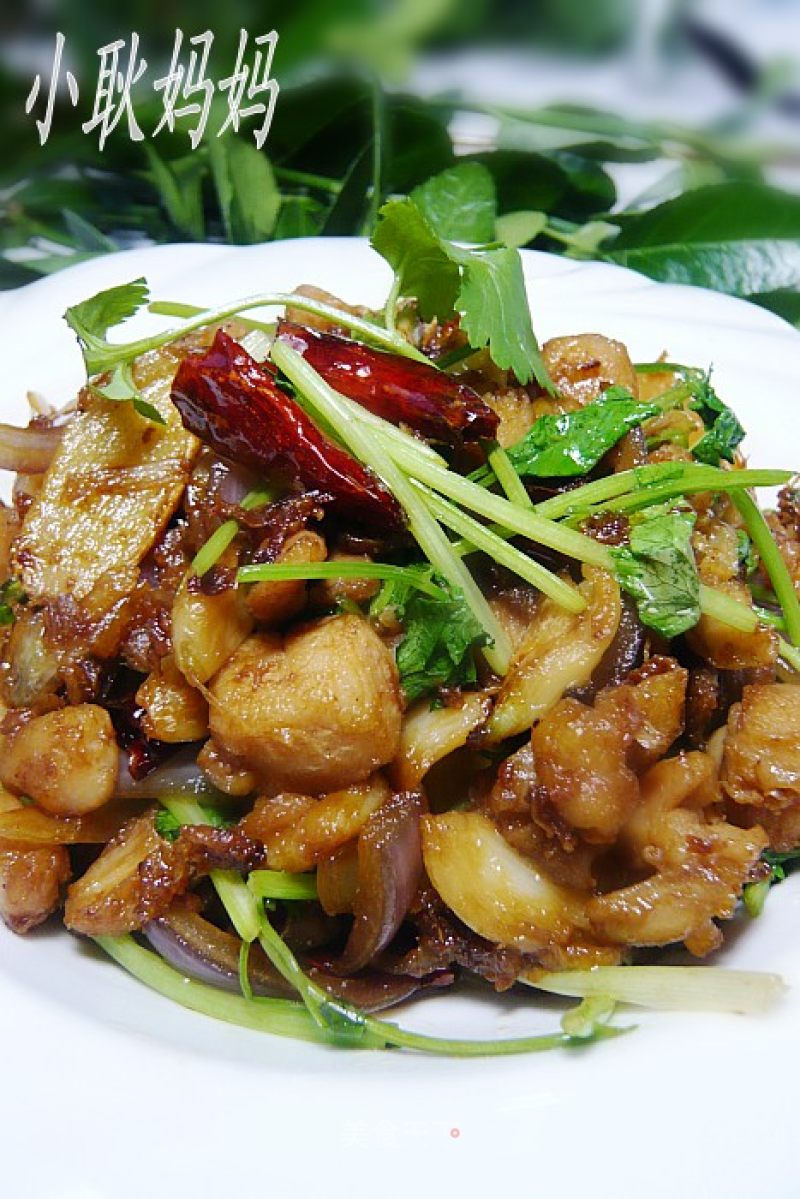 Cilantro Chicken recipe
